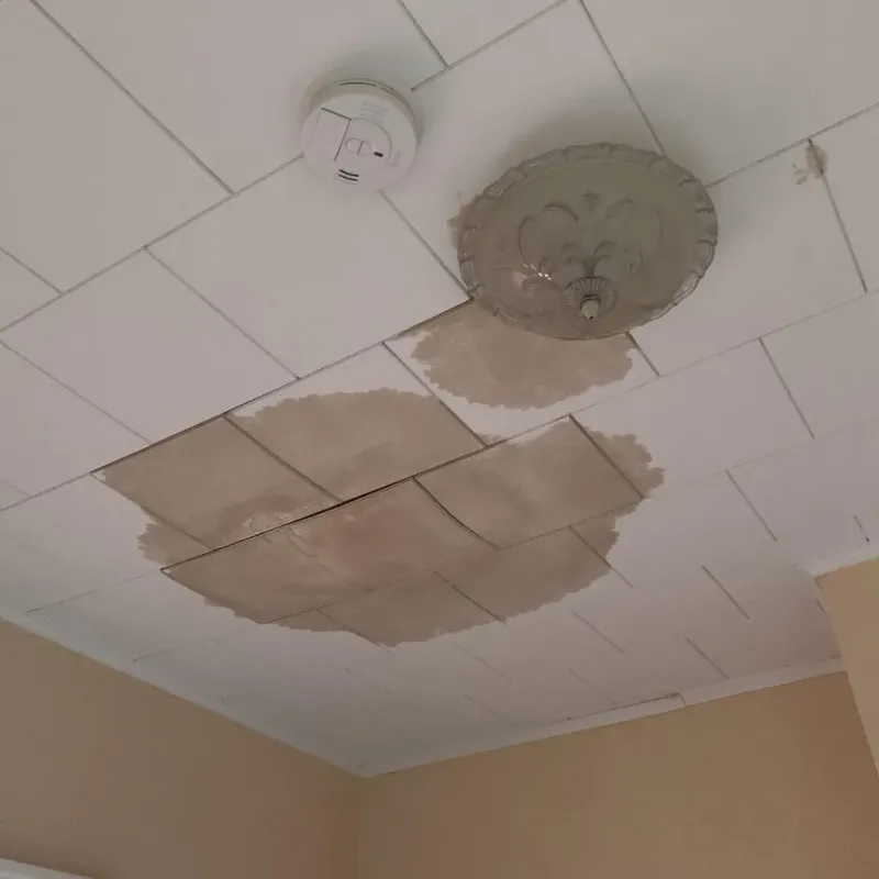 Ceiling Water Damage Repair in Marshall County, WV