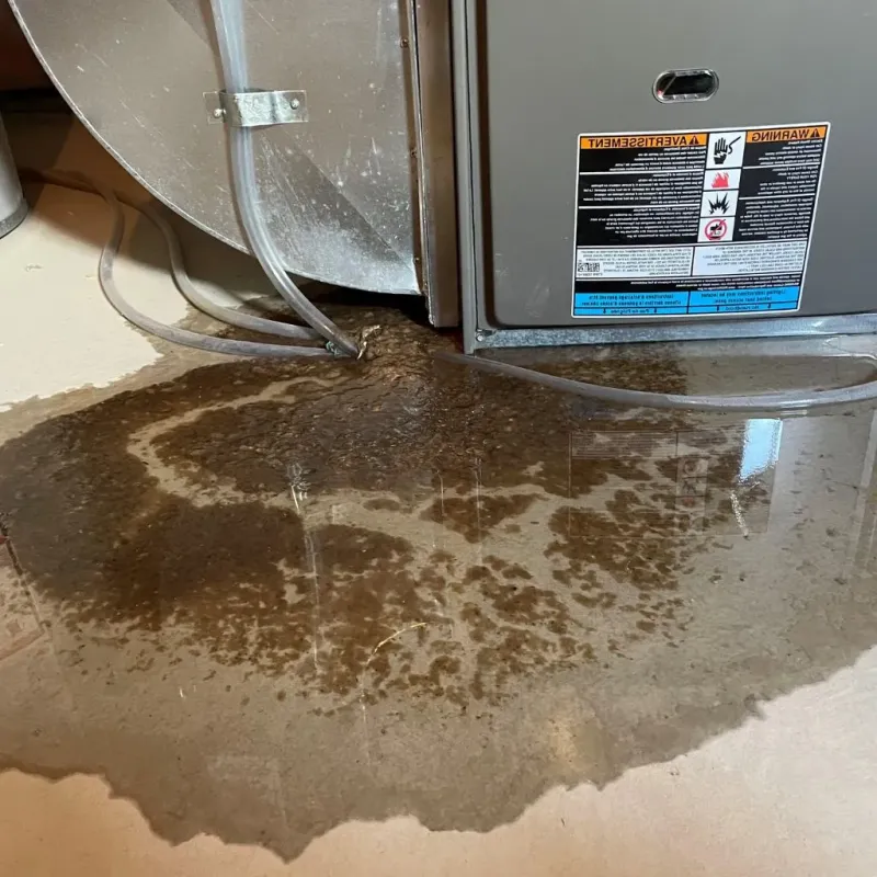 Pipe Burst and Leak Restoration in Marshall County, WV