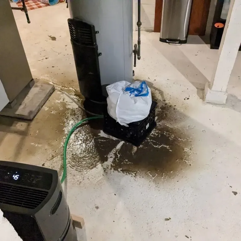 Sewage Backup Cleanup Service in Marshall County, WV